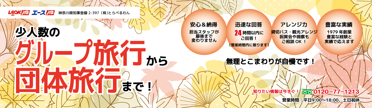 少人数のグループ旅行から団体旅行まで！1979年創業の確かな手配力でオリジナルなわがまま宴会旅行を組み立てます。