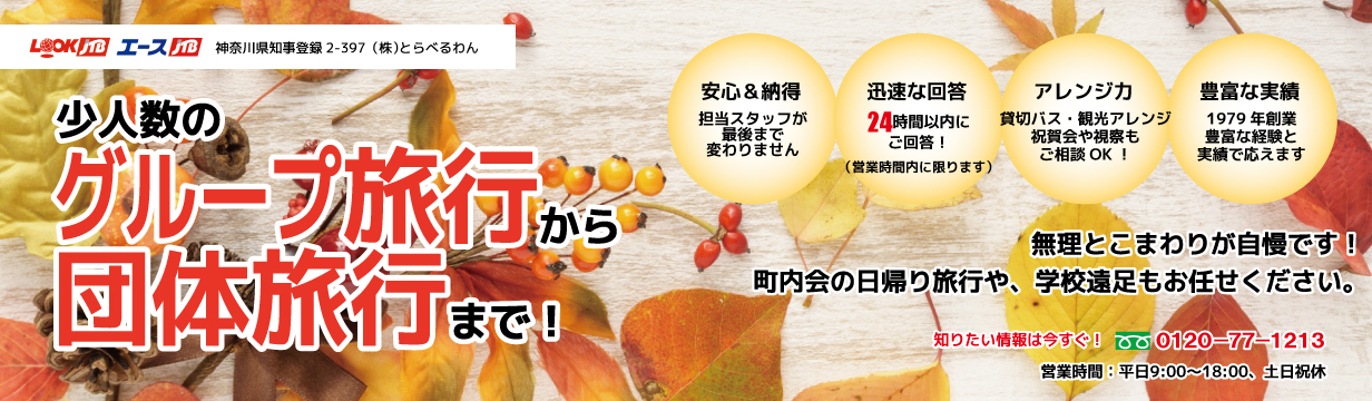 少人数のグループ旅行から団体旅行まで！1979年創業の確かな手配力でオリジナルなわがまま宴会旅行を組み立てます。