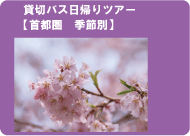 団体旅行・社員旅行に！貸切バス日帰りツアー（首都圏　季節別）
